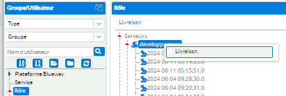 Livraison des rôles - Blueway - Opéra-Conseil